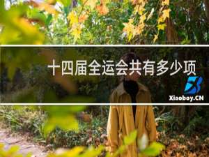 十四届全运会共有多少项目