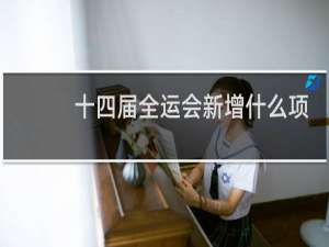 十四届全运会新增什么项目