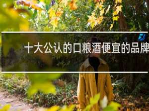 十大公认的口粮酒便宜的品牌