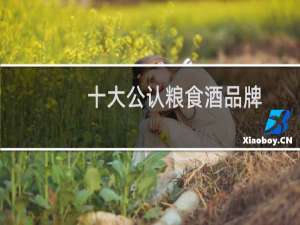 十大公认粮食酒品牌