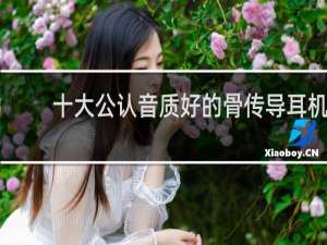 十大公认音质好的骨传导耳机