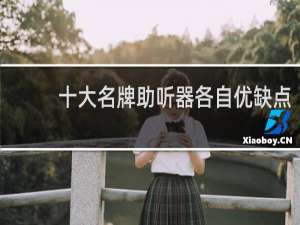 十大名牌助听器各自优缺点