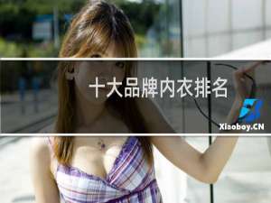 十大品牌内衣排名