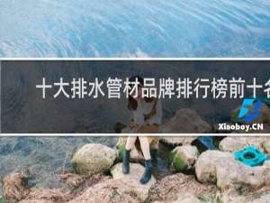 十大排水管材品牌排行榜前十名
