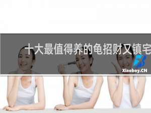 十大最值得养的龟招财又镇宅