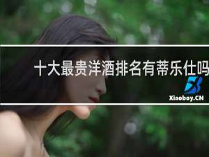 十大最贵洋酒排名有蒂乐仕吗