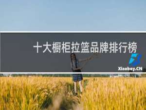 十大橱柜拉篮品牌排行榜