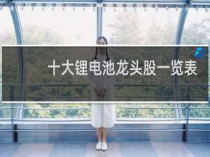 十大锂电池龙头股一览表