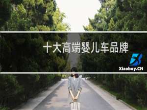 十大高端婴儿车品牌