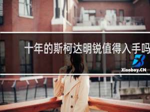 十年的斯柯达明锐值得入手吗