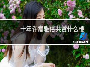 十年许嵩雅俗共赏什么梗，表达了什么意思什么梗