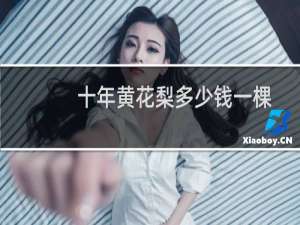 十年黄花梨多少钱一棵