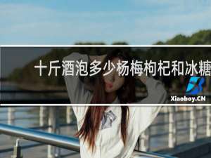 十斤酒泡多少杨梅枸杞和冰糖