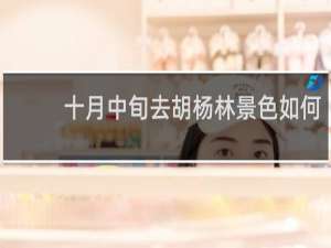 十月中旬去胡杨林景色如何