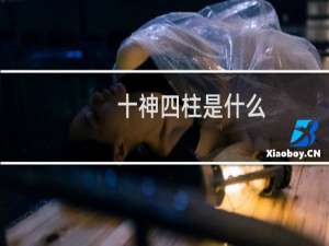 十神四柱是什么