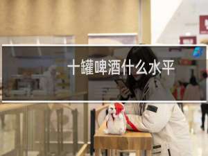 十罐啤酒什么水平