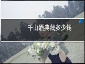 千山酒典藏多少钱