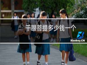 千眼菩提多少钱一个