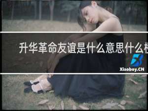 升华革命友谊是什么意思什么梗