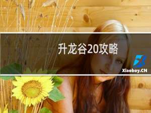 升龙谷 攻略