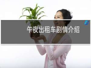 午夜出租车剧情介绍
