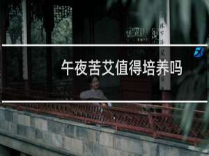 午夜苦艾值得培养吗