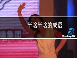 半啥半啥的成语