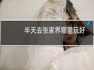 半天去张家界哪里玩好