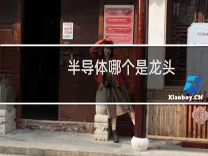 半导体哪个是龙头