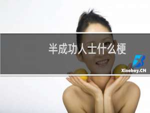半成功人士什么梗