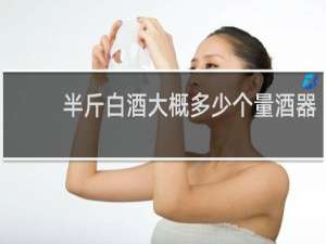 半斤白酒大概多少个量酒器