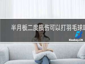 半月板二度损伤可以打羽毛球吗