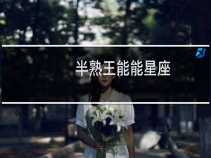 半熟王能能星座