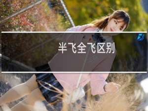 半飞全飞区别