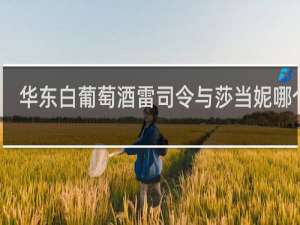 华东白葡萄酒雷司令与莎当妮哪个贵