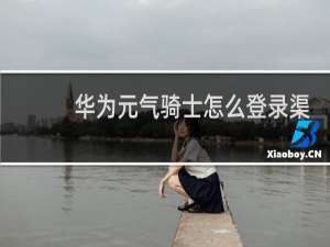 华为元气骑士怎么登录渠道账号