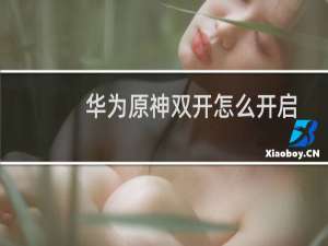华为原神双开怎么开启