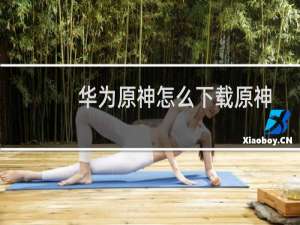 华为原神怎么下载原神