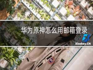 华为原神怎么用邮箱登录