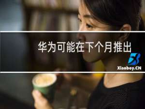 华为可能在下个月推出Mate 30和Mate 30 Pro