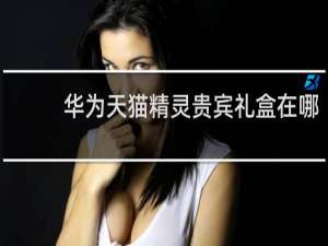 华为天猫精灵贵宾礼盒在哪