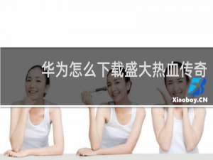 华为怎么下载盛大热血传奇