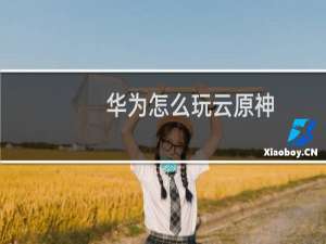 华为怎么玩云原神