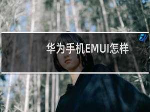 华为手机EMUI怎样更新到最新版本