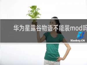 华为星露谷物语不能装mod吗