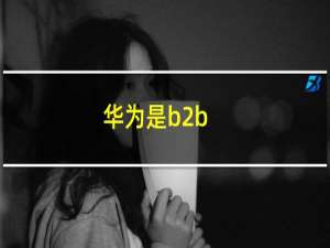 华为是b2b