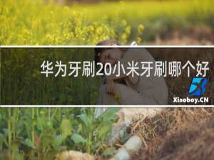 华为牙刷 小米牙刷哪个好