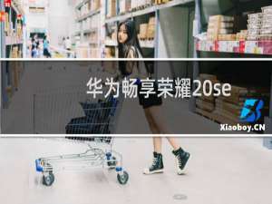 华为畅享荣耀20se