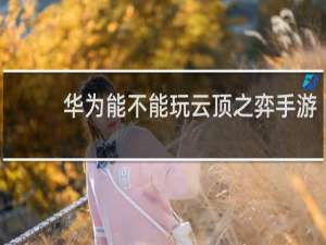 华为能不能玩云顶之弈手游