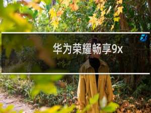 华为荣耀畅享9x